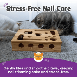 🎁😻Cat Scratch Puzzle Enrichment Box✨