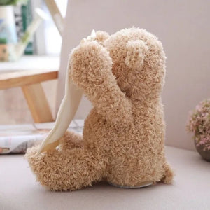 HolidayHug - Adorable Plush Bear
