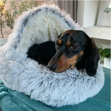 PawNest - Deluxe Pet Sleeping Bed