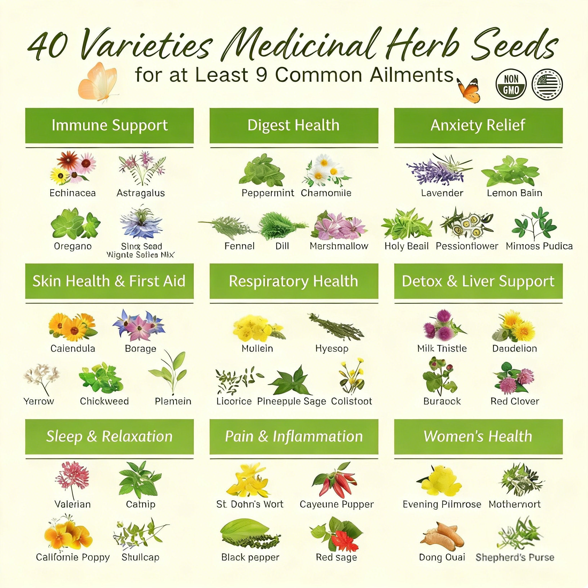 Herbal Wisdom - Vintage Seed Chest Collection