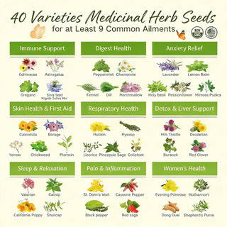 Herbal Wisdom - Vintage Seed Chest Collection