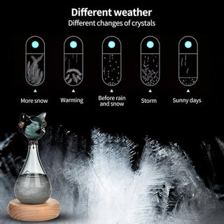 ForecastCharm – Cat Design Liquid Weather Predictor