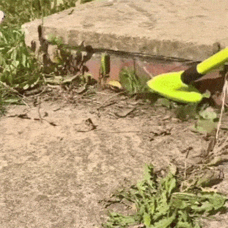 WeedForce - 3-in-1 Versatile Weed Brush Combo Set
