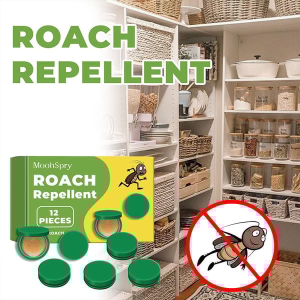 InsectoStop – Fast Acting Roach Control