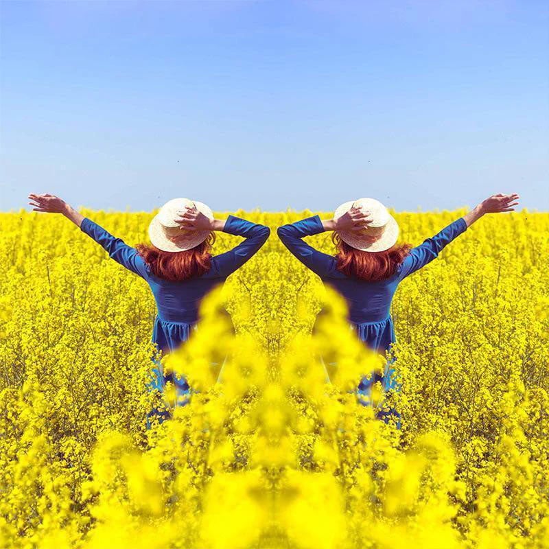 SymmetriLens - Stunning Mirror Photography Tool