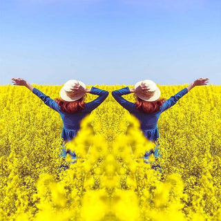 SymmetriLens - Stunning Mirror Photography Tool