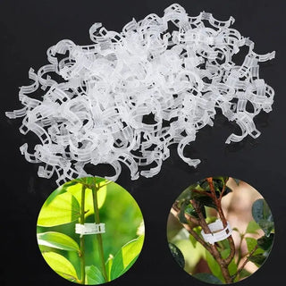 Plant Support Clips marnetic