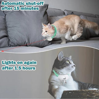 LaserPurr – Automatic Cat Laser Collar