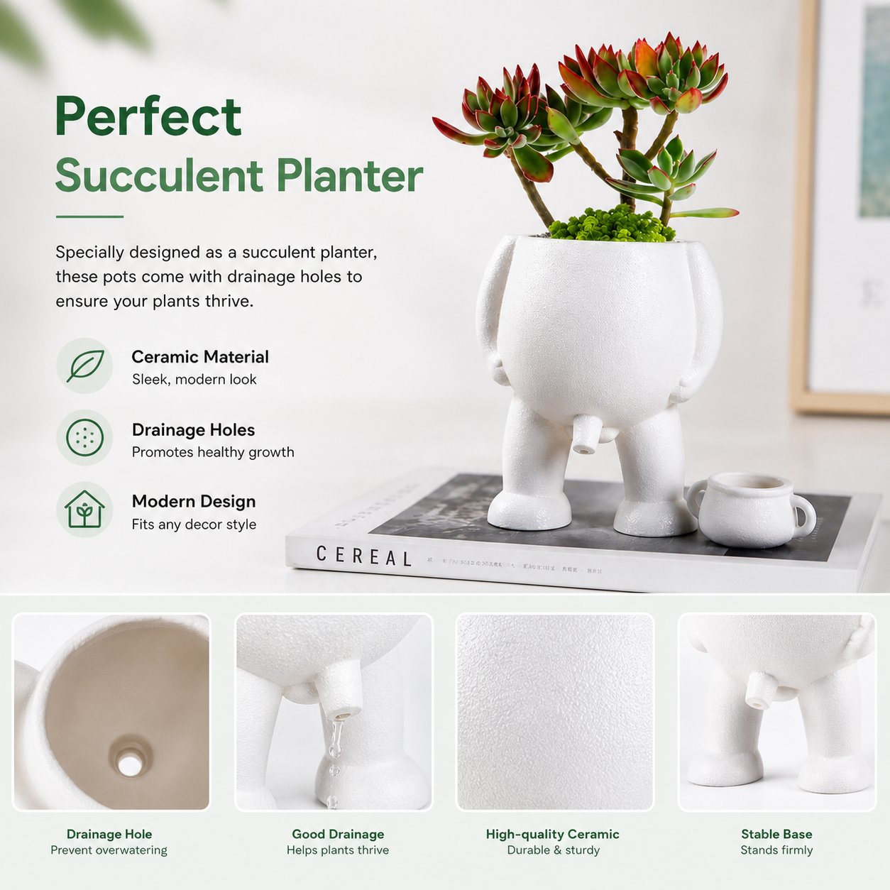BloomSilhouette – Ceramic Plant Pot