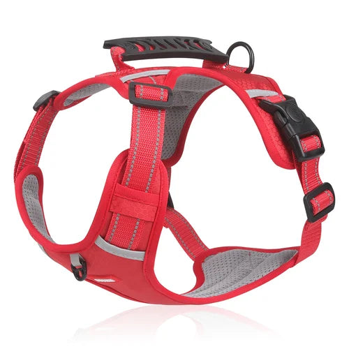 Tug-Free Dog Walking Harness marnetic