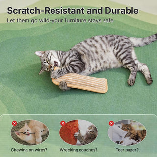 Meow Mania - Large Organic Catnip Play Toy – Keep Cats Active