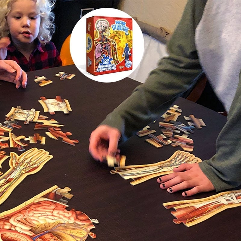 Human Anatomy Puzzle for Kids