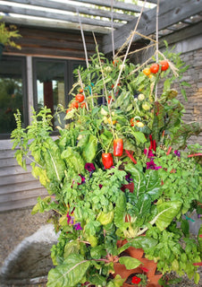 GrowSpin – Rotatable Garden Tower for Vertical Planting