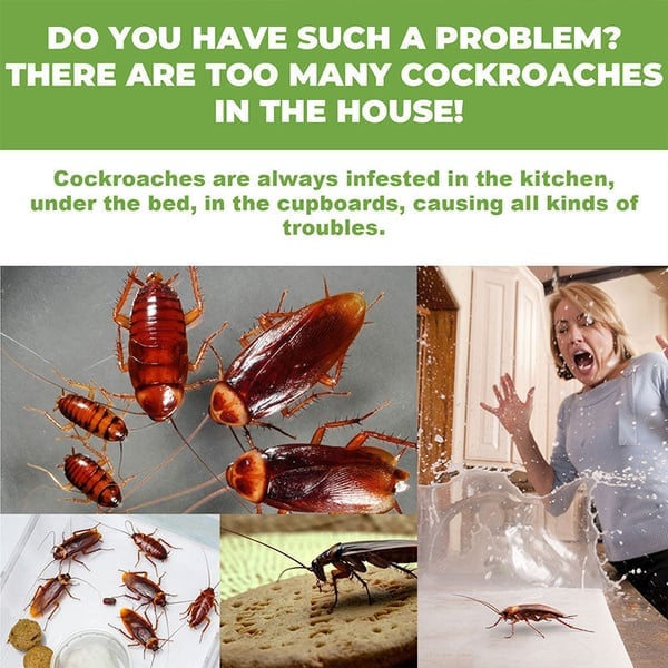 InsectoStop – Fast Acting Roach Control