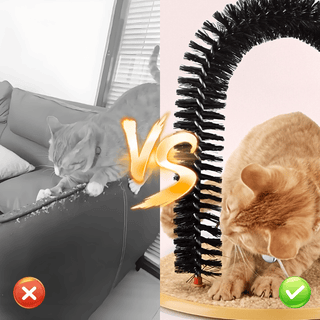 PawArch – Curved Cat Scratching Arch