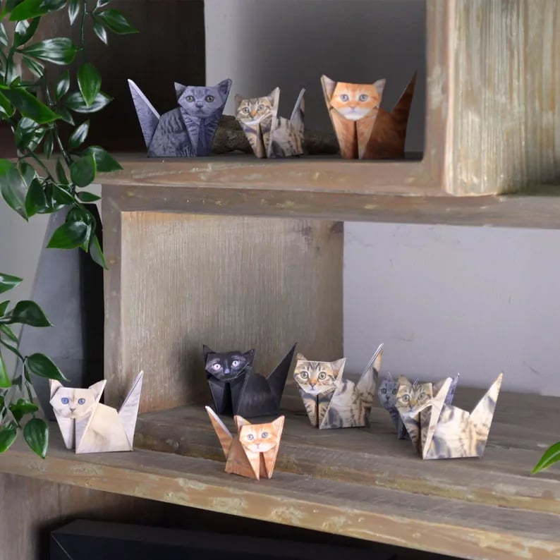 PaperPaws – A Cat Lover’s DIY Paradise