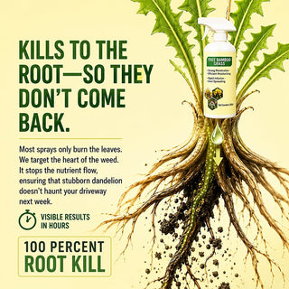 🔥2026 SALE - Fast-Acting Natural Weed & Grass Killer Spray