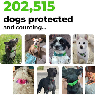 TickGuard – Chemical-Free Repellent Tag