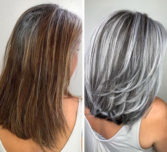 Silvique | Platinum Gray Shine Hair Dye