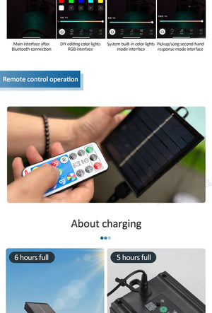 HydraLuxe – Solar Powered Pool Fountain with Dual Stream