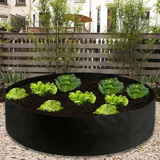 Garden GrowBag, o cutie de gradina pentru cultura plantelor realizata din material textil pentru o recolta bogata