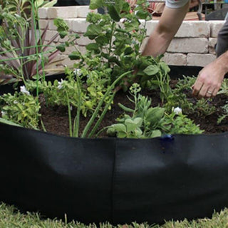 Garden GrowBag, o cutie de gradina pentru cultura plantelor realizata din material textil pentru o recolta bogata