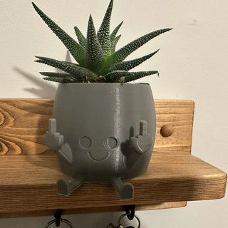 FunkyFlora - Funniest Smiling Plant Pot