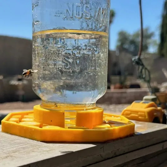 BuzzBloom – Decorative Bee Hydration Spot for Gardens