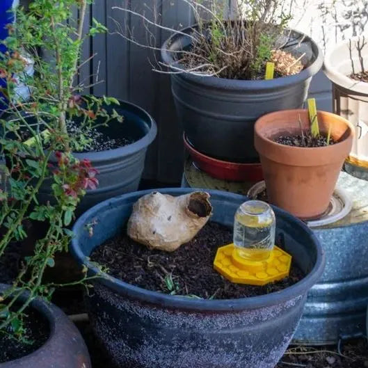 BuzzBloom – Decorative Bee Hydration Spot for Gardens