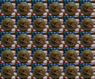 🏆Flash Sale 60% OFF - 🗽🐊Alligator Alcatraz Humor Collectible Coin