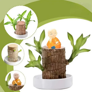 LuckyVerdant – Brazilian Wood Charm