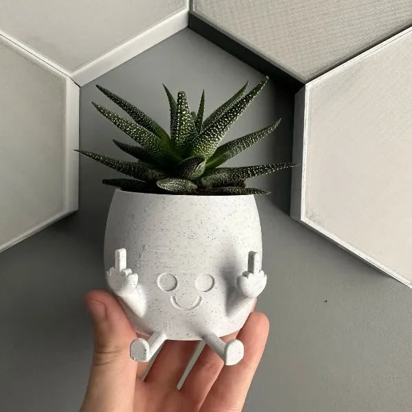FunkyFlora - Funniest Smiling Plant Pot