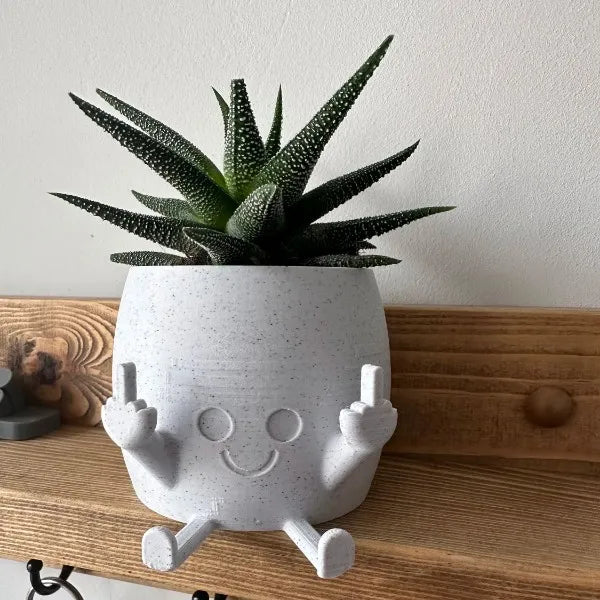 FunkyFlora - Funniest Smiling Plant Pot