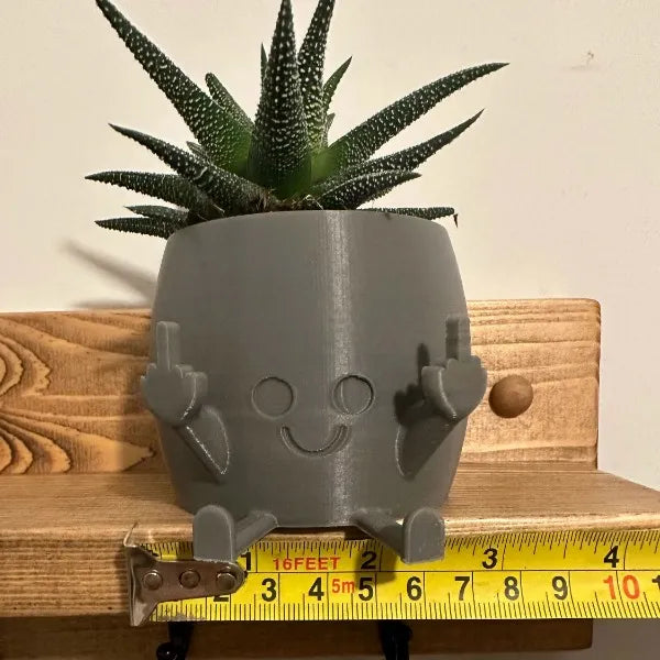 FunkyFlora - Funniest Smiling Plant Pot
