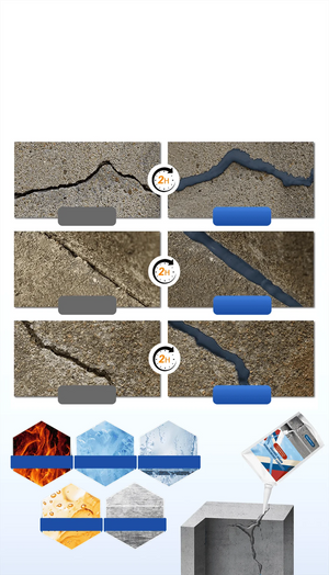 CrackShield – Heavy Duty Concrete Gap Filler