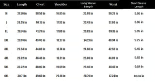 IronFree – Stretch Anti-Wrinkle Dress Shirt