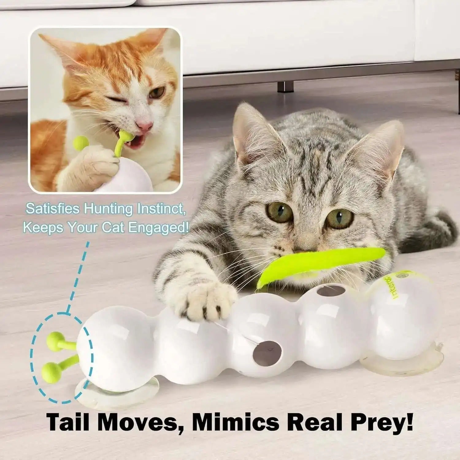 A closer look at Interactive Cat Toys With Support Material
