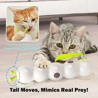 PurrWhirl – Interactive Cat Toy with Worm Motion
