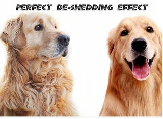 FurEase – Pet Safe Dematting Comb