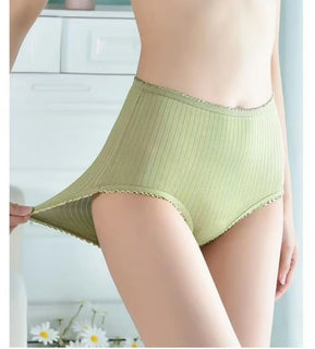 PureGuard – Antibacterial Absorbent Underwear