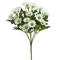 5 Bundle of Ivory