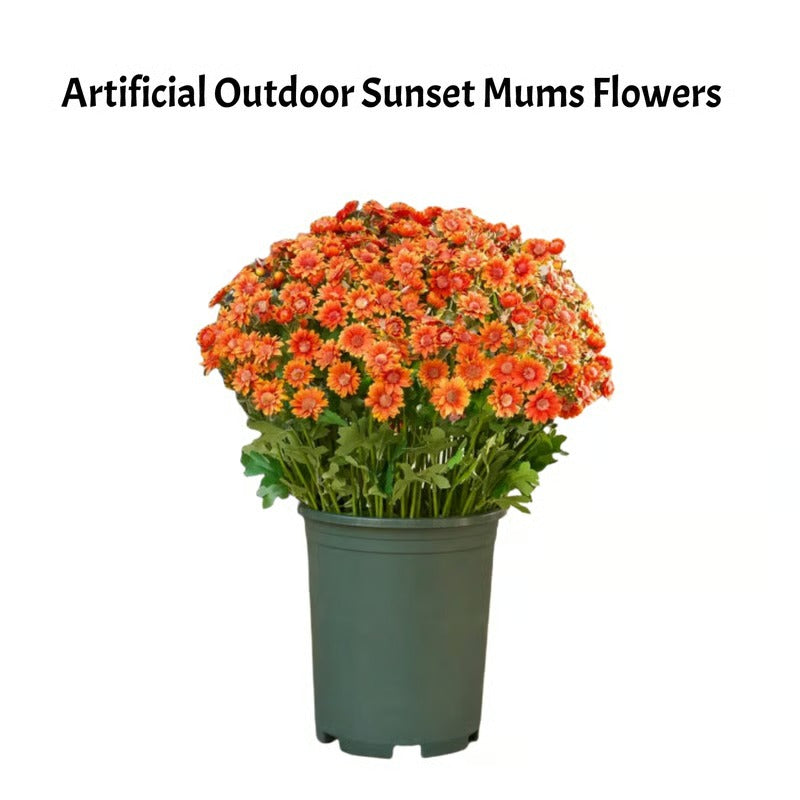 RadiantFlora – Weather Resistant Garden Mums