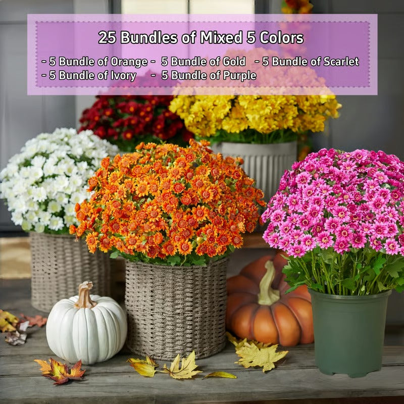 RadiantFlora – Weather Resistant Garden Mums