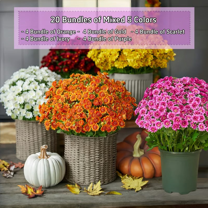 RadiantFlora – Weather Resistant Garden Mums