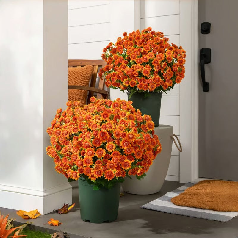 RadiantFlora – Weather Resistant Garden Mums
