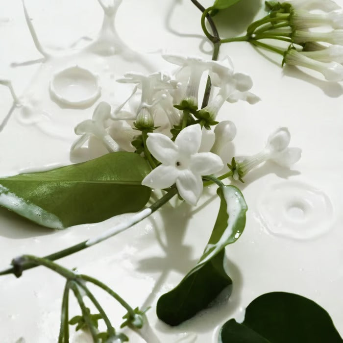 VelvetMist – Vanilla & Cream Body Spray Duo