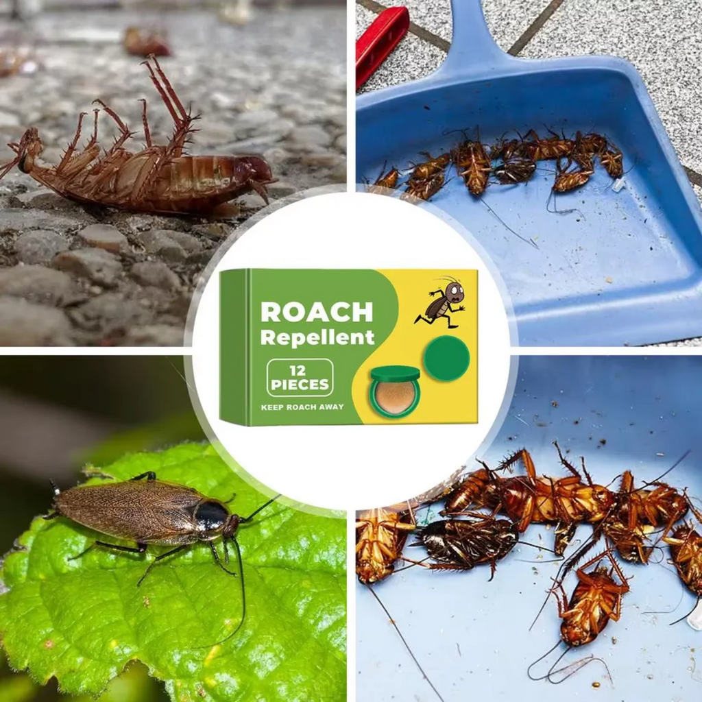 InsectBarrier – Roach Control Solution