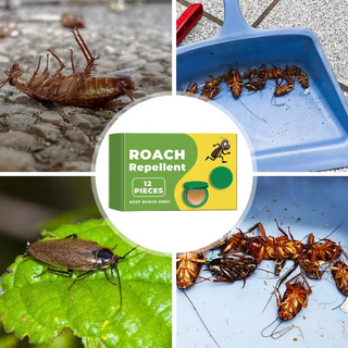 InsectBarrier – Roach Control Solution