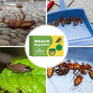 InsectBarrier – Roach Control Solution