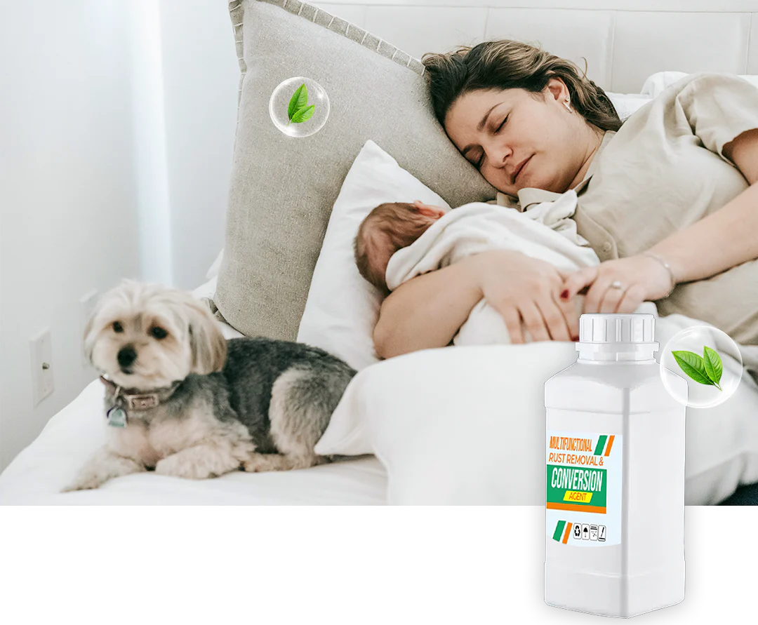 RustReform – Multifunctional Rust Removal & Converter